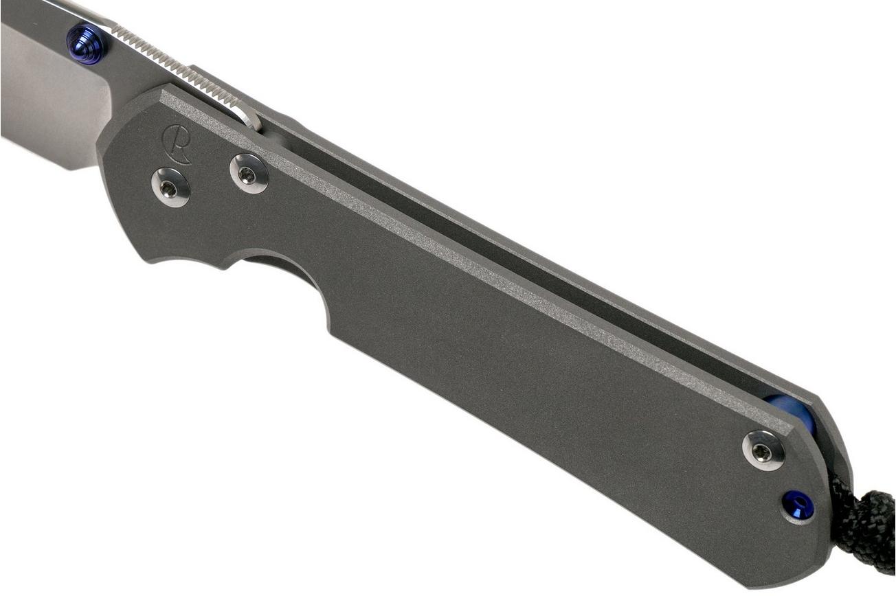 Chris Reeve Sebenza 31 Large Plain L31-1000 zakmes