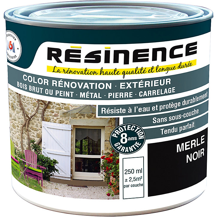 Résine de rénovation extérieur multi-support merle noir satin Résine extérieur nce 0,25L