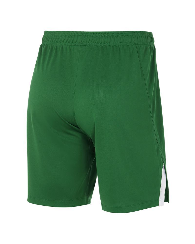 Short de volley Nike Team Spike Vert pour homme