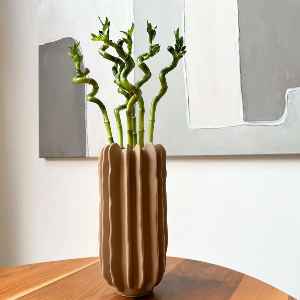 Geluksbamboe - Set van 12 - Dracaena sanderiana - Hoogte 40-50cm - ⌀2cm