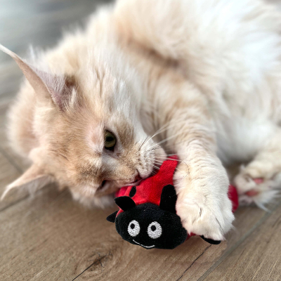 Aumüller Marienkäfer Dotty Katzenspielzeug