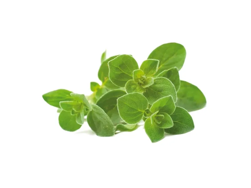 Click and Grow - Smart Garden 3 stykker - Oregano-frø