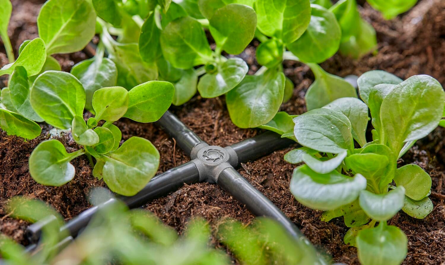 Gardena Micro Drip systeem kruisstuk 4,6 mm (3/16