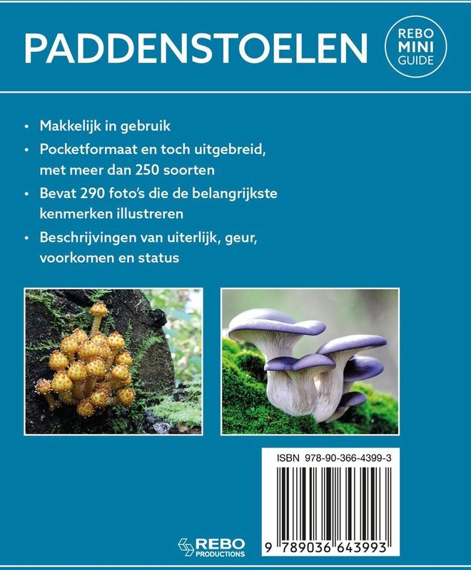 Paddenstoelen - Rebo mini guide