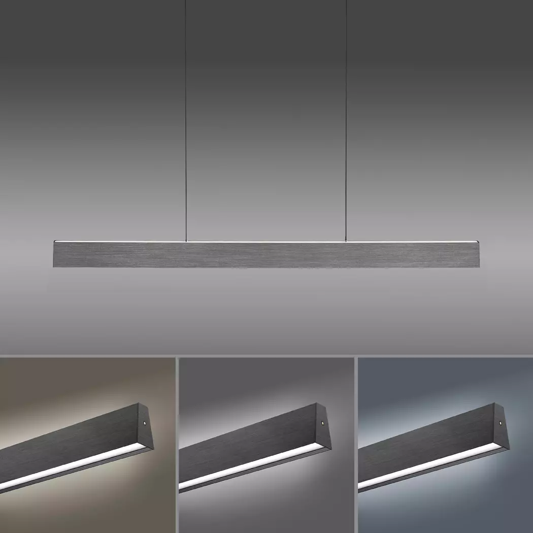 LED-Pendelleuchte Pure-Motion