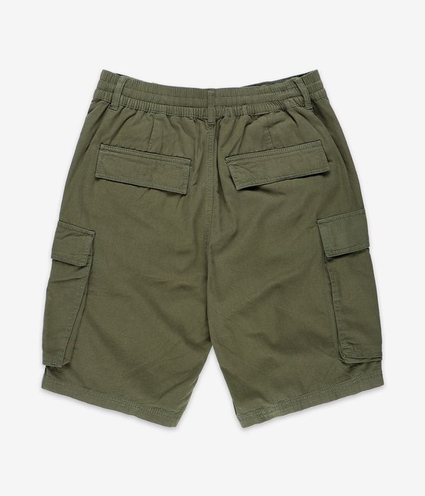 DC Tundra Cargo Shorts (ivy green)