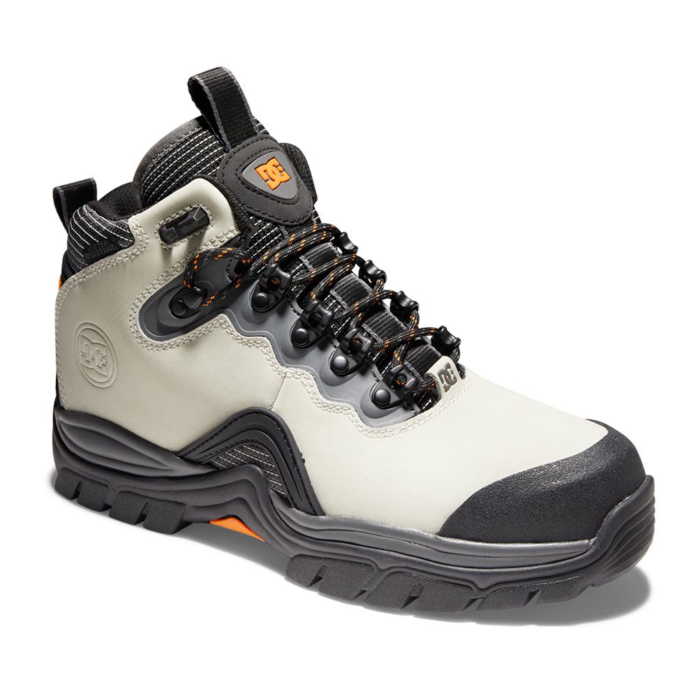 DC Shoes NAVIGATOR - Chaussures Homme cream