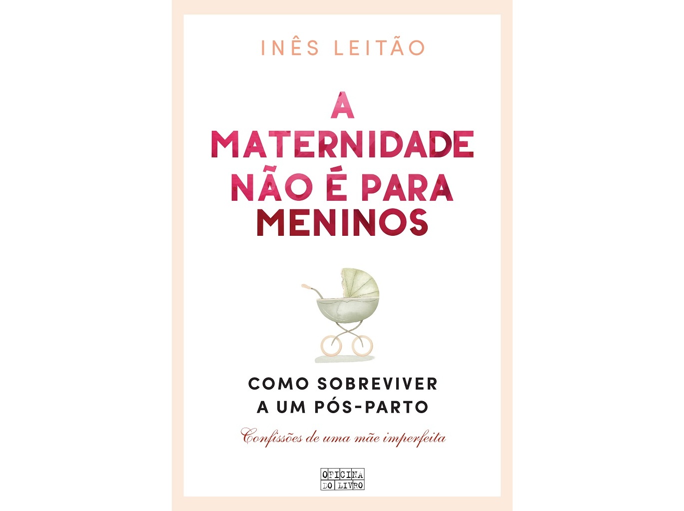 LIVRO A MATERNIDADE NÃO É PARA MENINOS DE INÊS LEITÃO