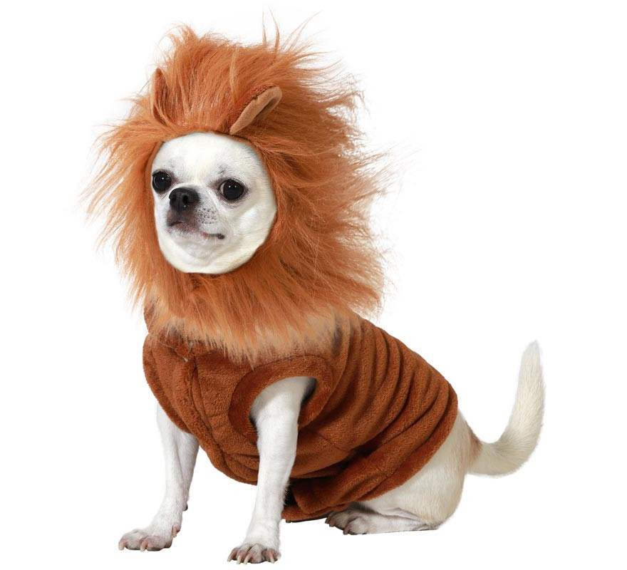 Fantasia de Leão Atosa para Cães