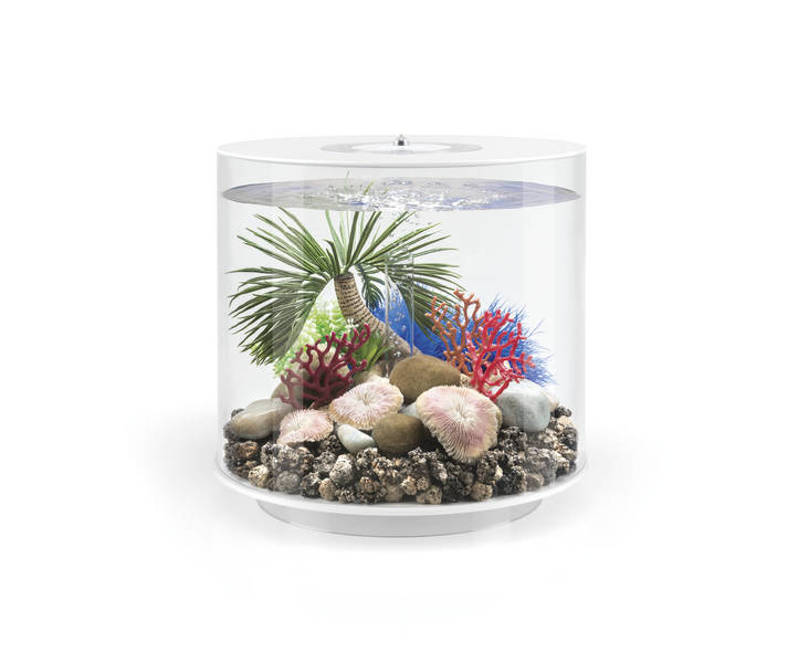 biOrb zweep koraal set - 3 stuks decoratie