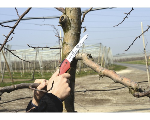 Felco boomzaag met inklapbaar zaagblad