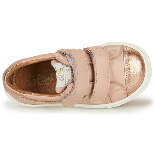 GBB - CARLOTA - Rose