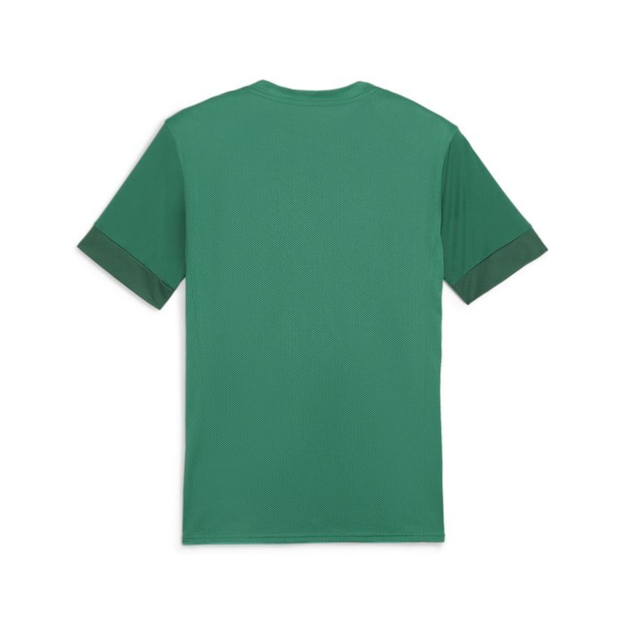 PUMA T-shirt d'Entraînement teamGOAL - Vert/Noir