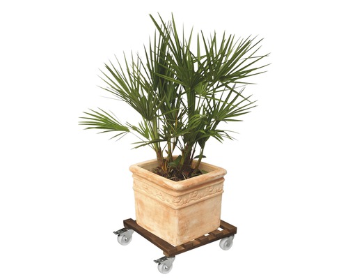 Wagner Gigant houten plantenwagen, 45x45 cm, draagvermogen 250 kg