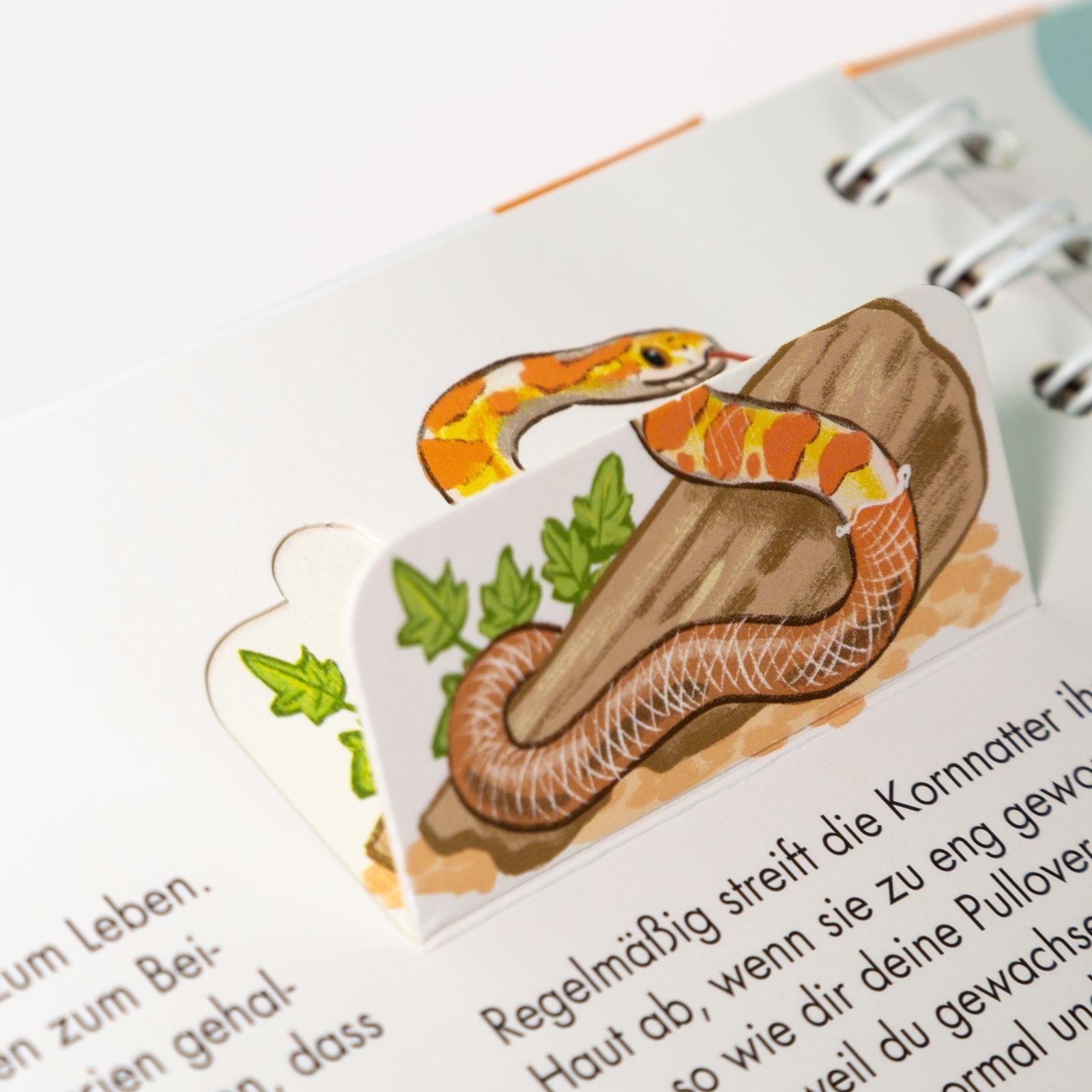 Haustiere / Frag doch mal ... die Maus! Erstes Sachwissen Bd.25