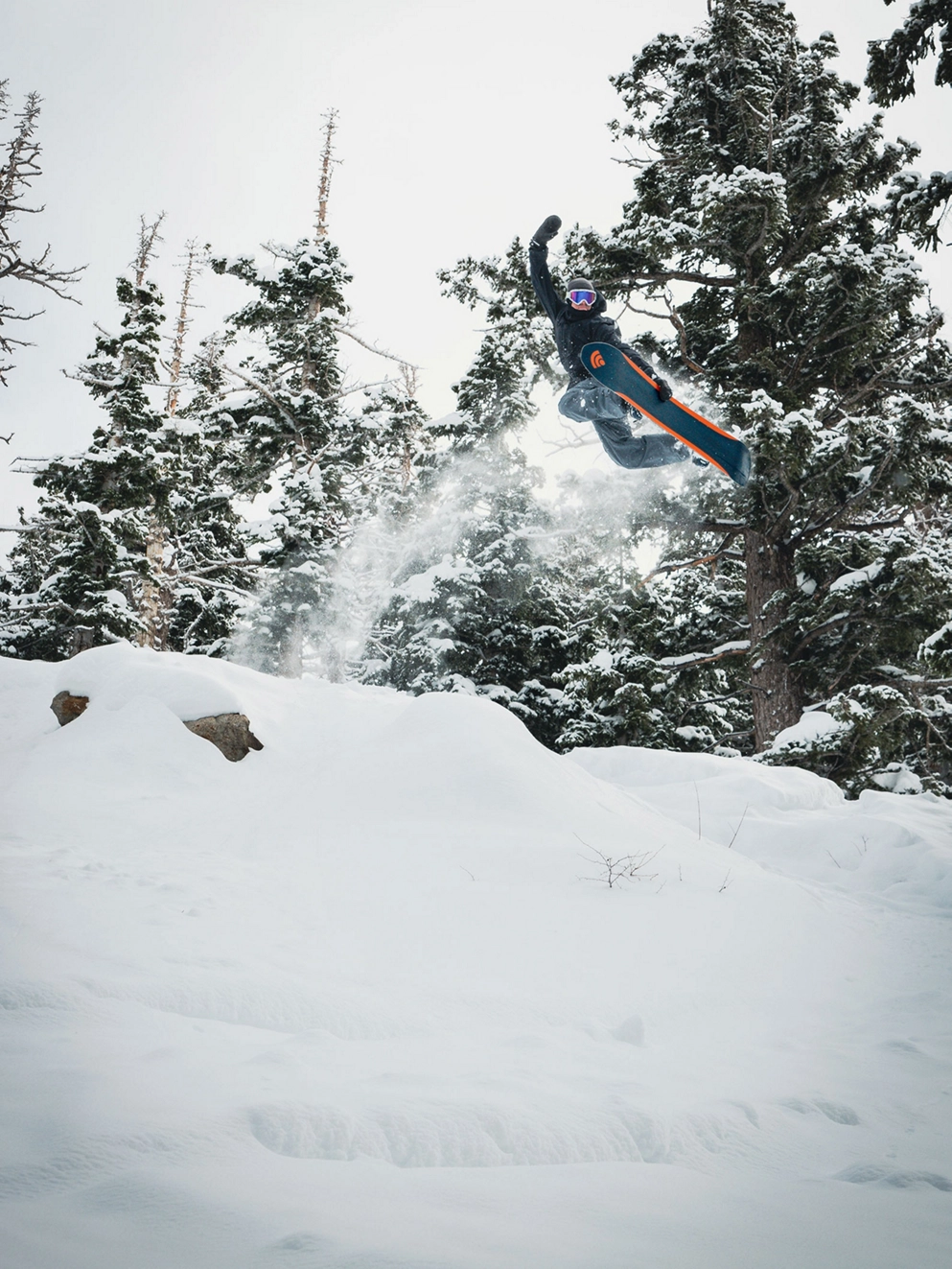 Signal Tailgunner 2025 Snowboard uni