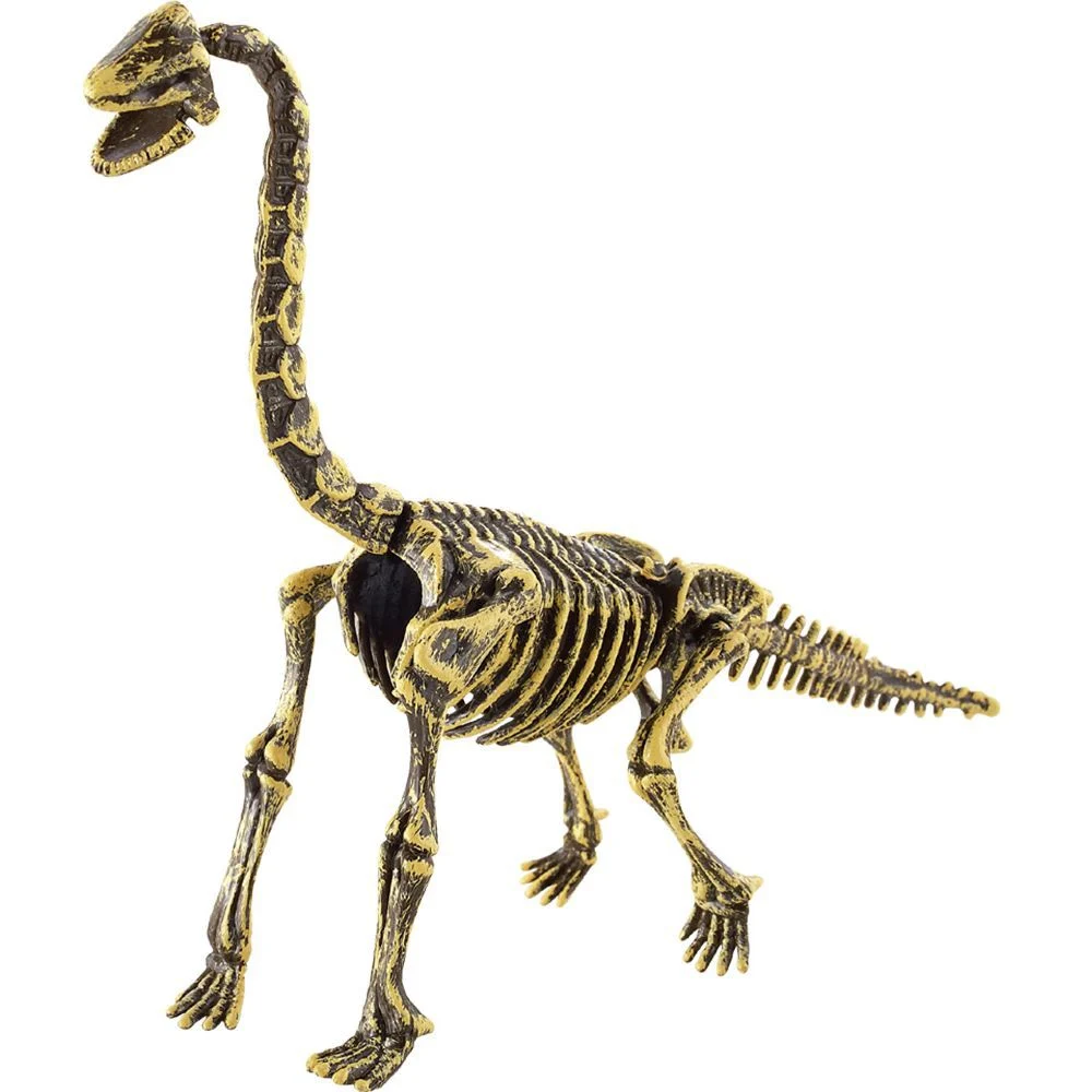 Kit dinosaure + outils d'excavation