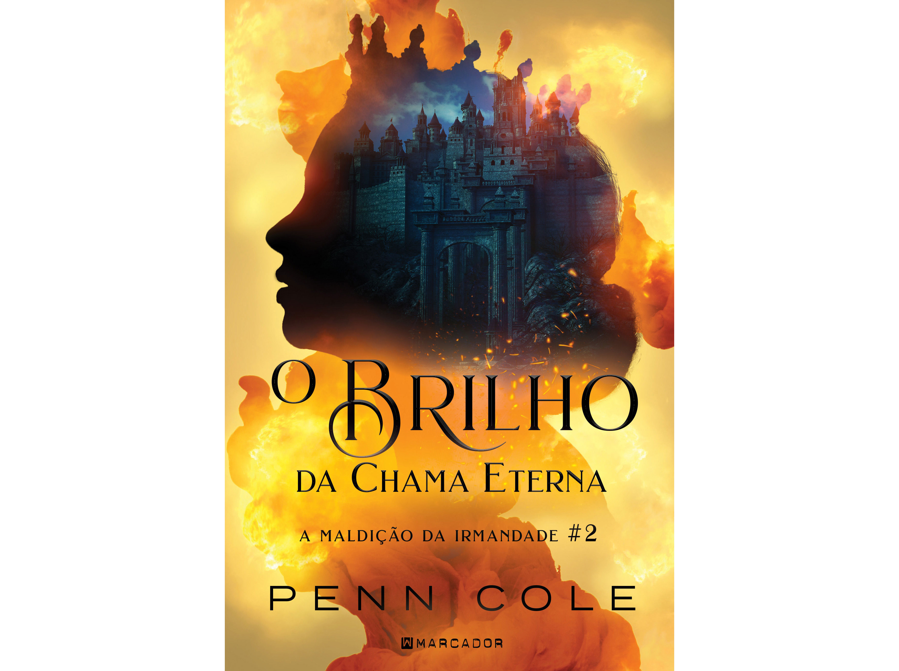 LIVRO BRILHO CHAMA ETERNA DE PENN COLE