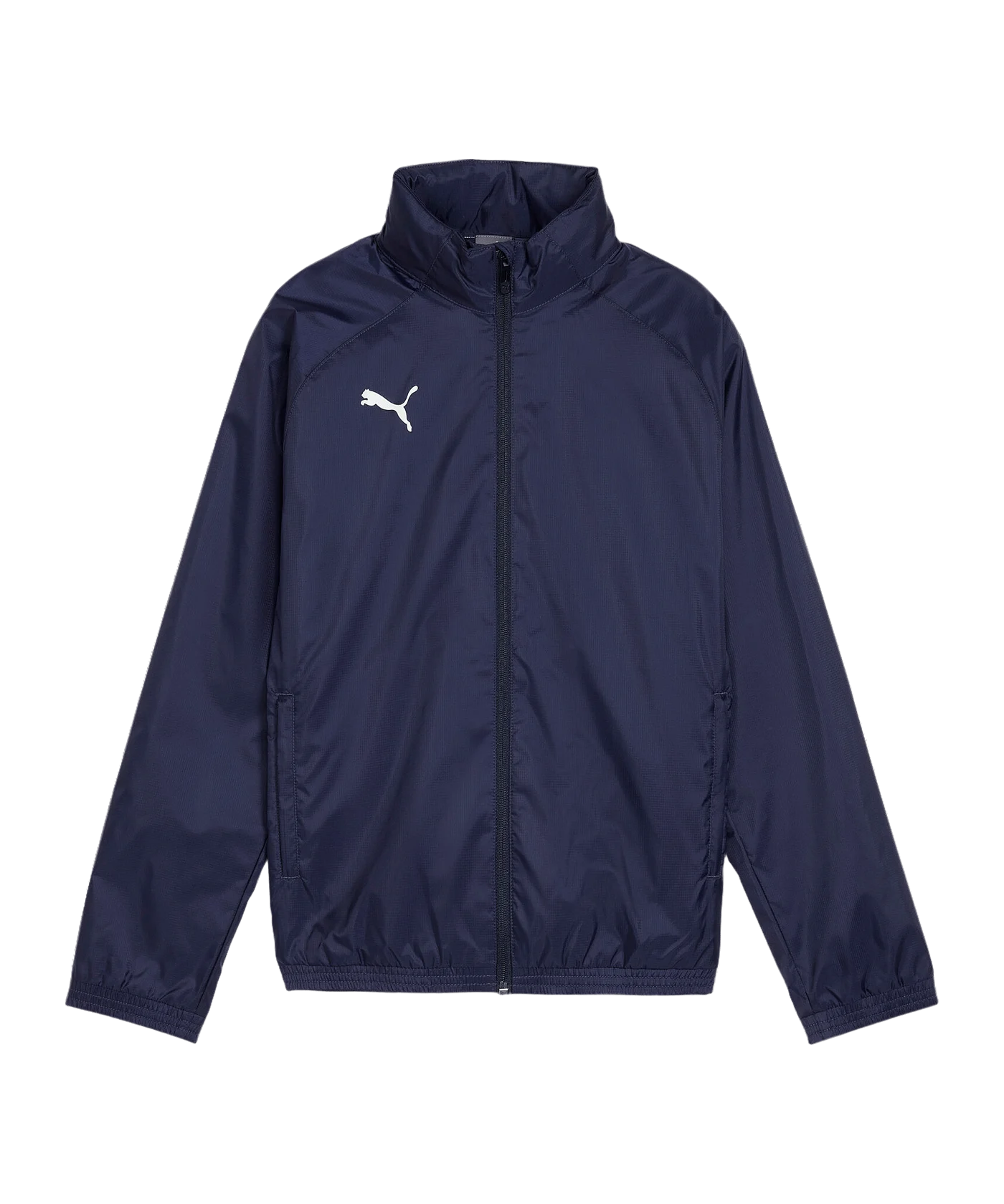 PUMA teamGOAL Regenjacke Kids Blau F06