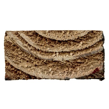 Tuinlat Douglas geschaafd ca. 2,2 x 4,5 cm, lengte ca. 300 cm