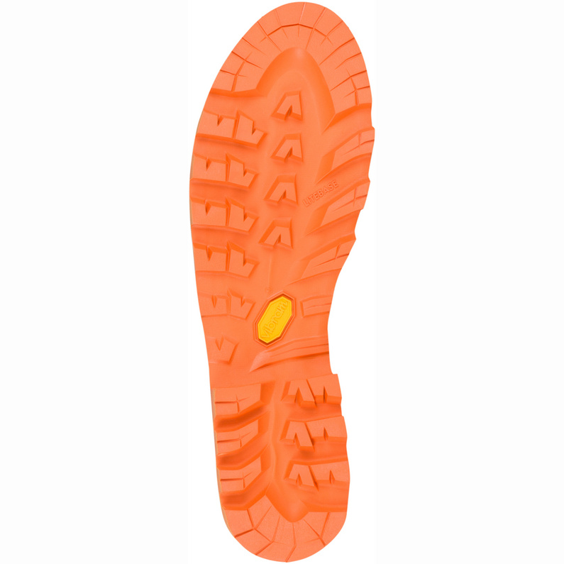 Aku Herren Viaz DFS GTX Schuhe