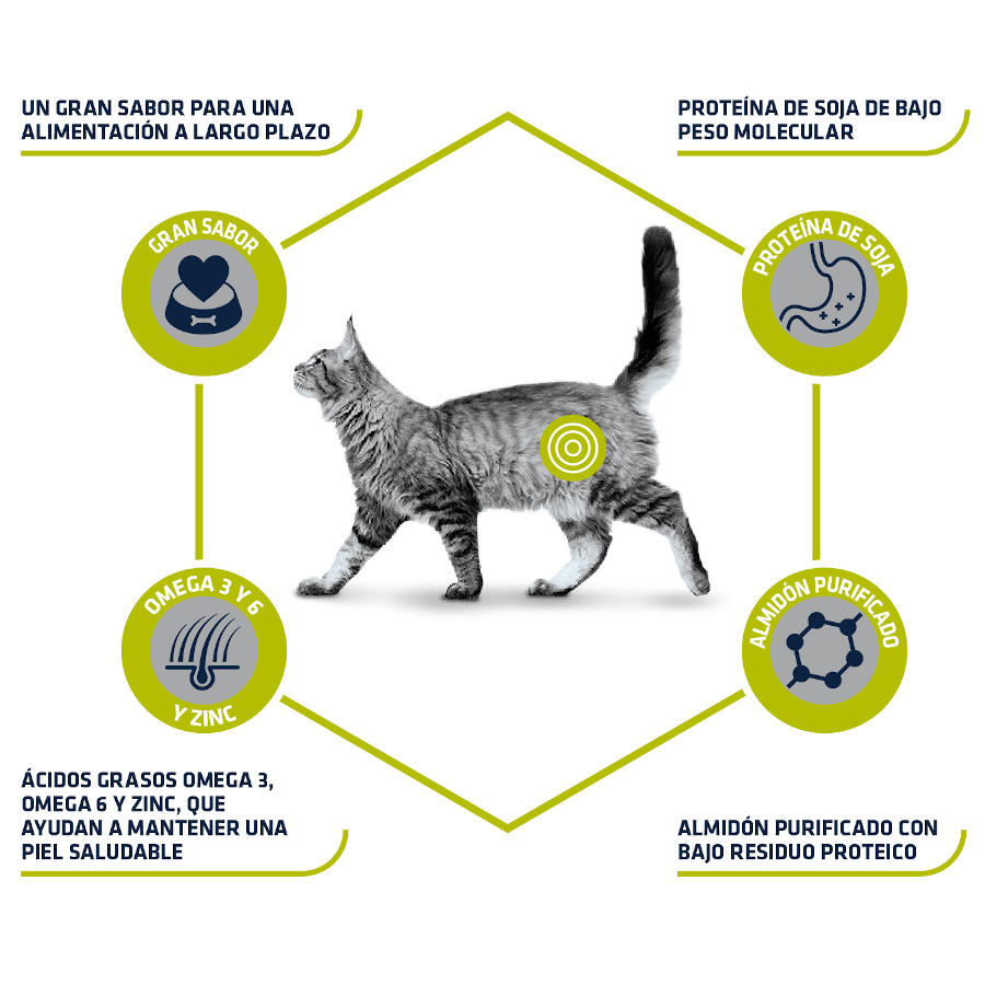 Ração hipoalergênica para gatos da Advance Veterinary Diets