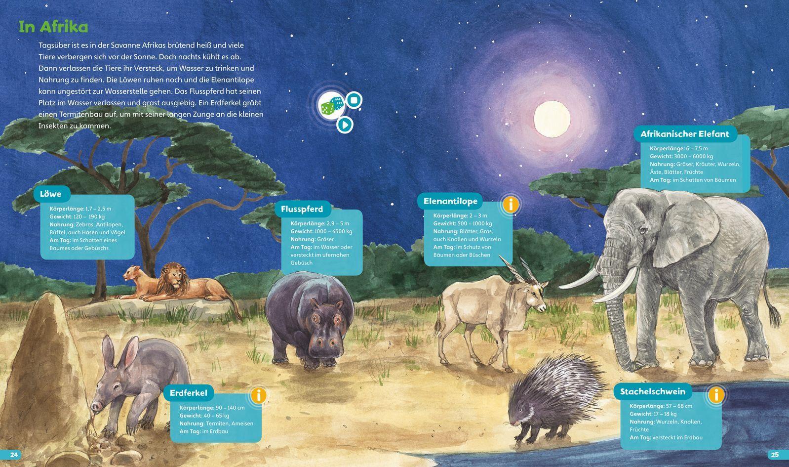 BOOKii Hören und Staunen - Tiere in der Nacht