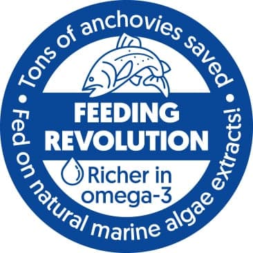 FJORU ASC Lachs Filet Mittelstück mit Haut FEEDING REVOLUTION