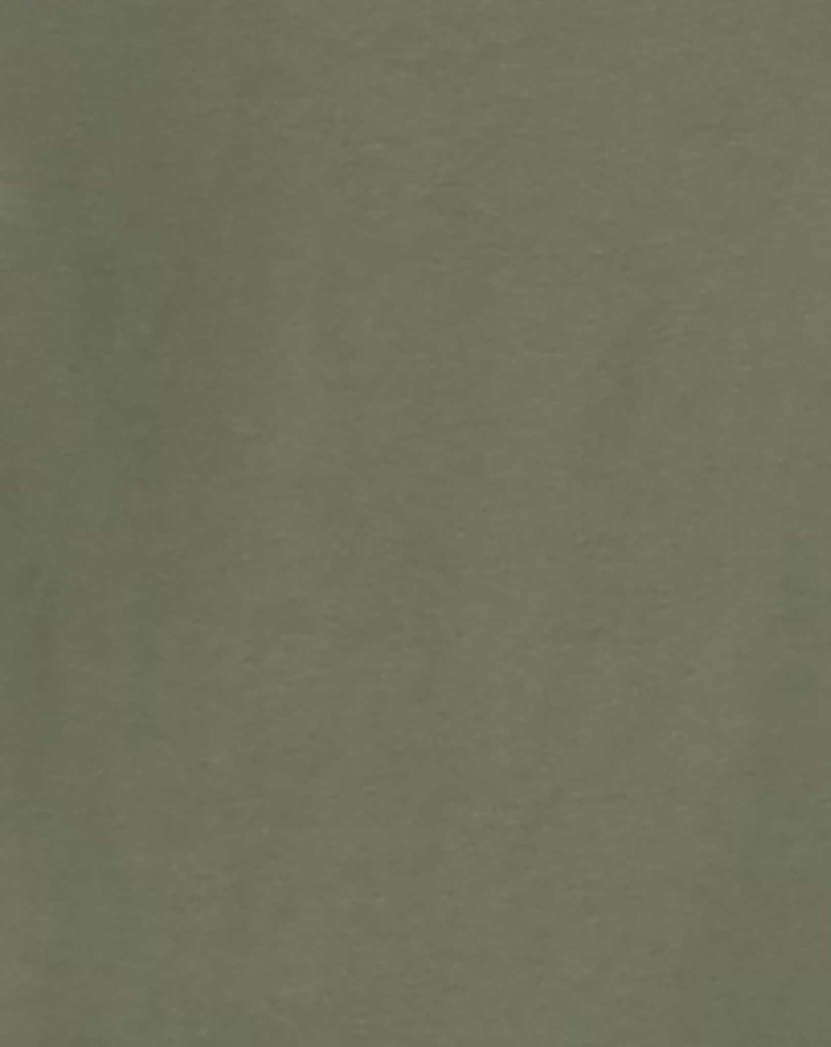 Langarmshirt NMMVUX LIVE LOUD in dusty olive