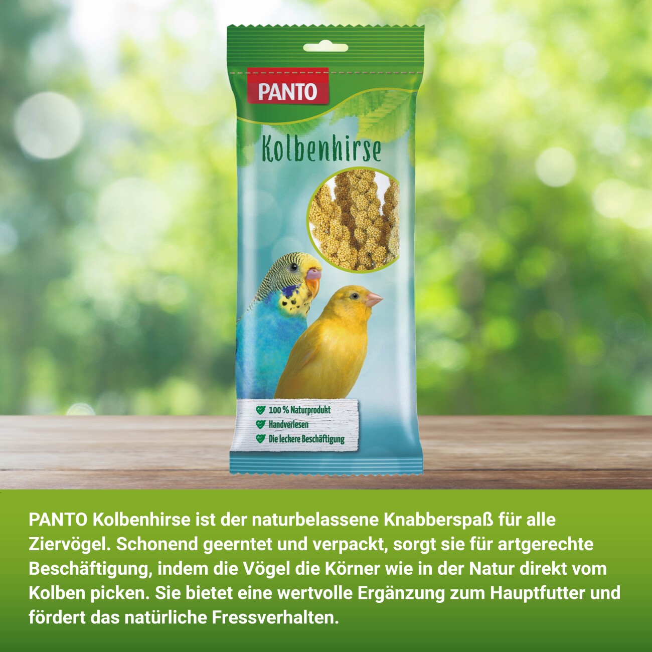 Panto ® KOLBENHIRSE 100 g