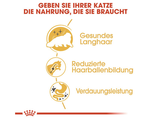 ROYAL CANIN Perzische droogvoer voor katten 10 kg