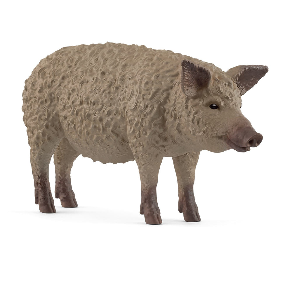 Køb Schleich Mangalica