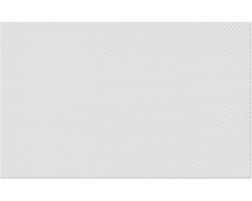 Erfurt vliesvezel 1004319 Protect 211 10.05x0.53 m