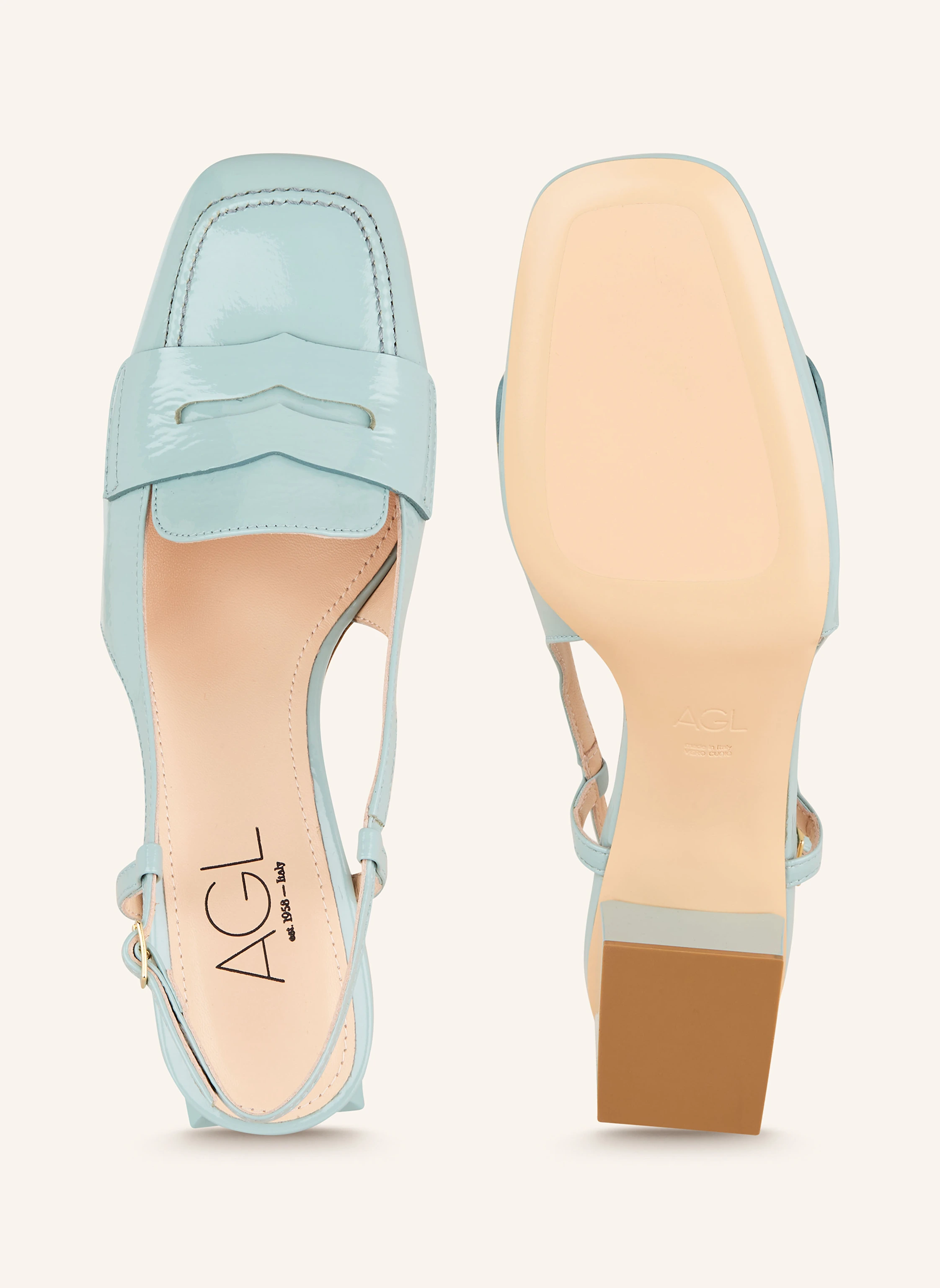 AGL Lack-Slingpumps