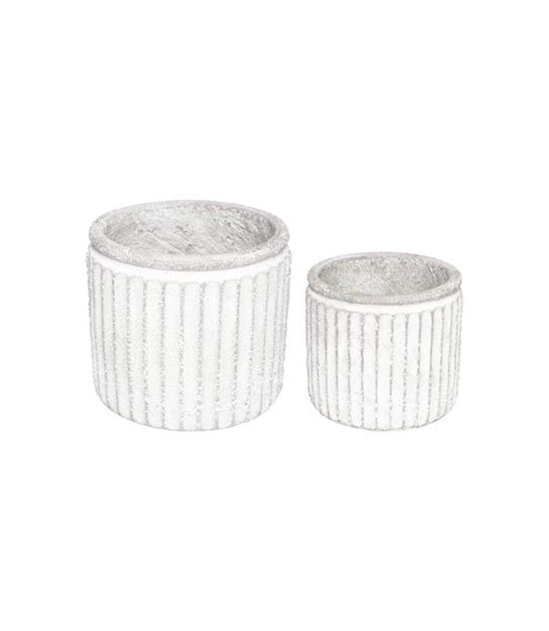 Lot de 2 Pots de Fleurs Déco Wild 19cm Gris