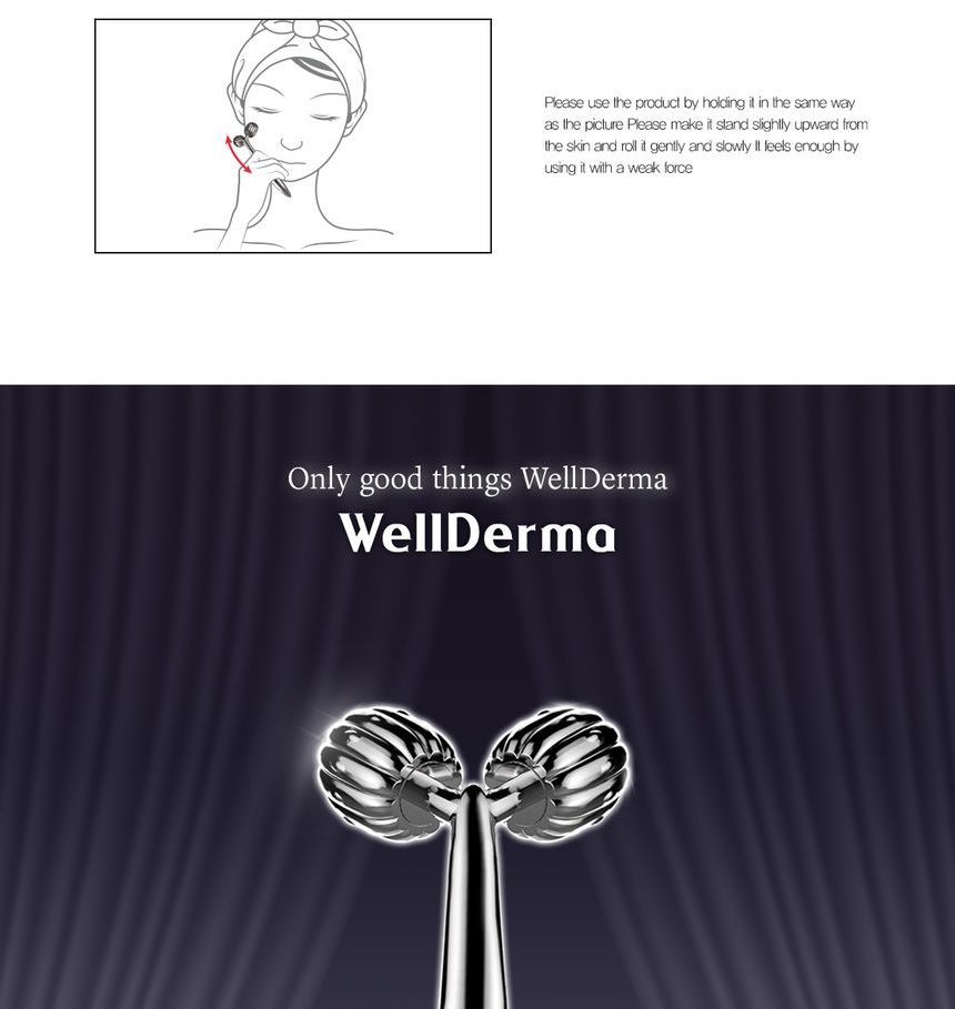WellDerma - Gezichtsliftende Donkerzilveren Roller