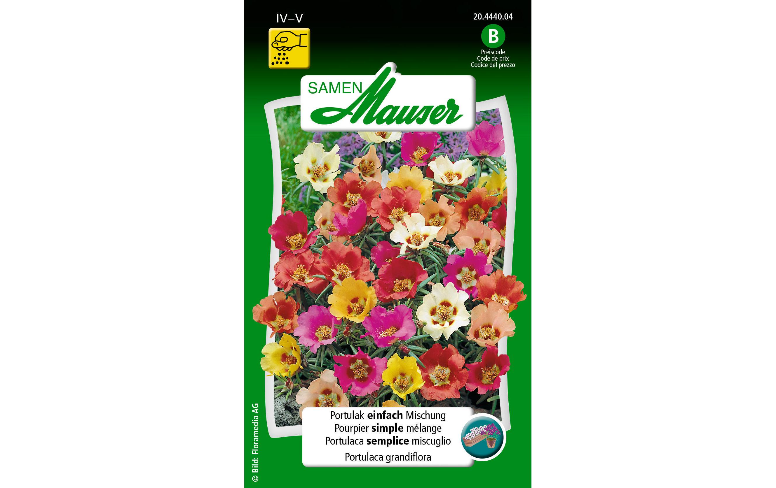 Saatgut Portulak einfach MischungBlumensamen