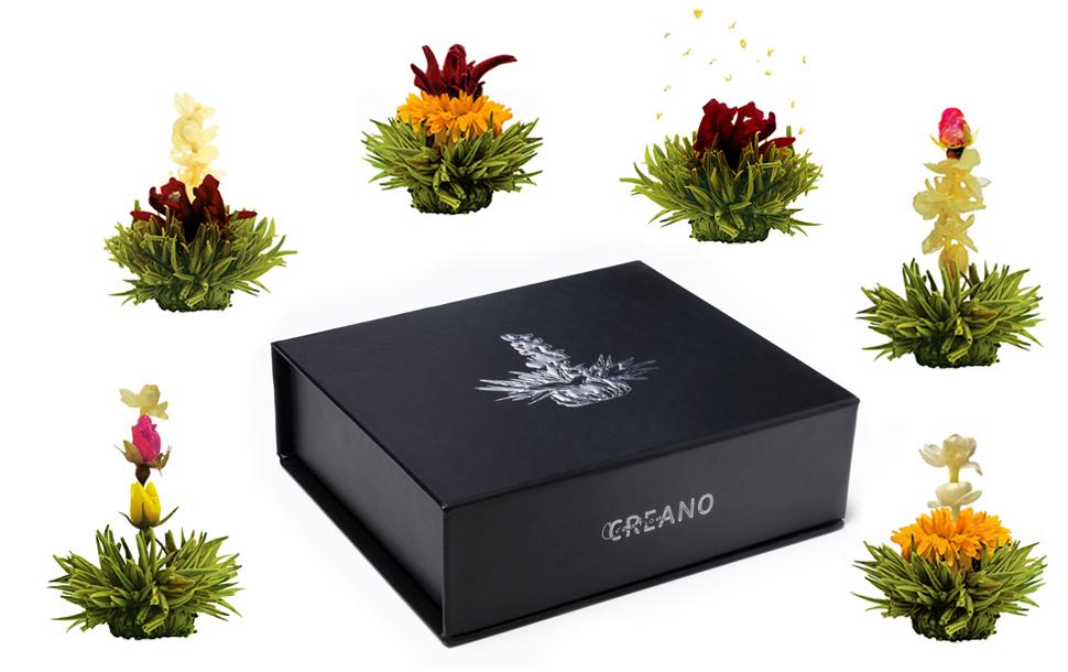 Erblühtee grüner Tee fruity flavor 6er MagnetboxTeerosen assortiert
