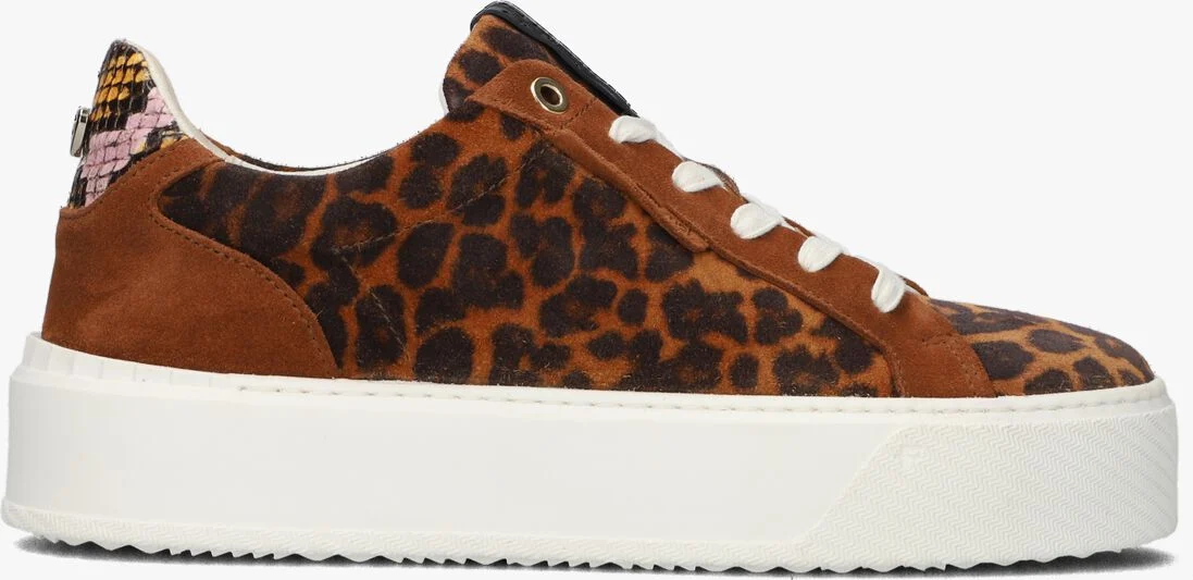 FLORIS VAN BOMMEL cognac floris van bommel lage sneakers sfw-10105