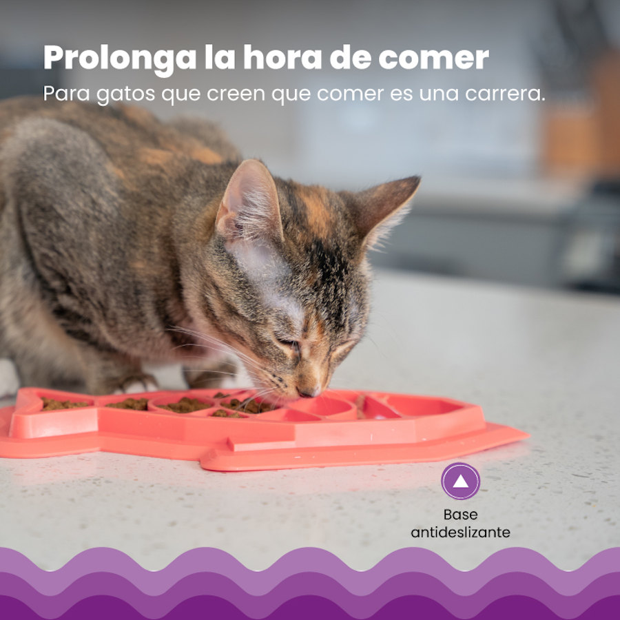 Brinquedo divertido Outward Hound Catstages Fishie, dispensador de ração em formato de peixe para gatos.