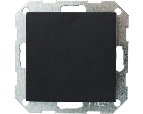 Gira 26828 blinde afdekking met draagring E2/Event antraciet