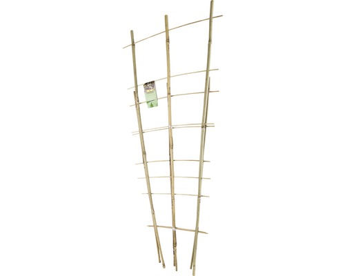 Bamboe trellis set FloraSelf H 60 + 85 cm 2 stuks