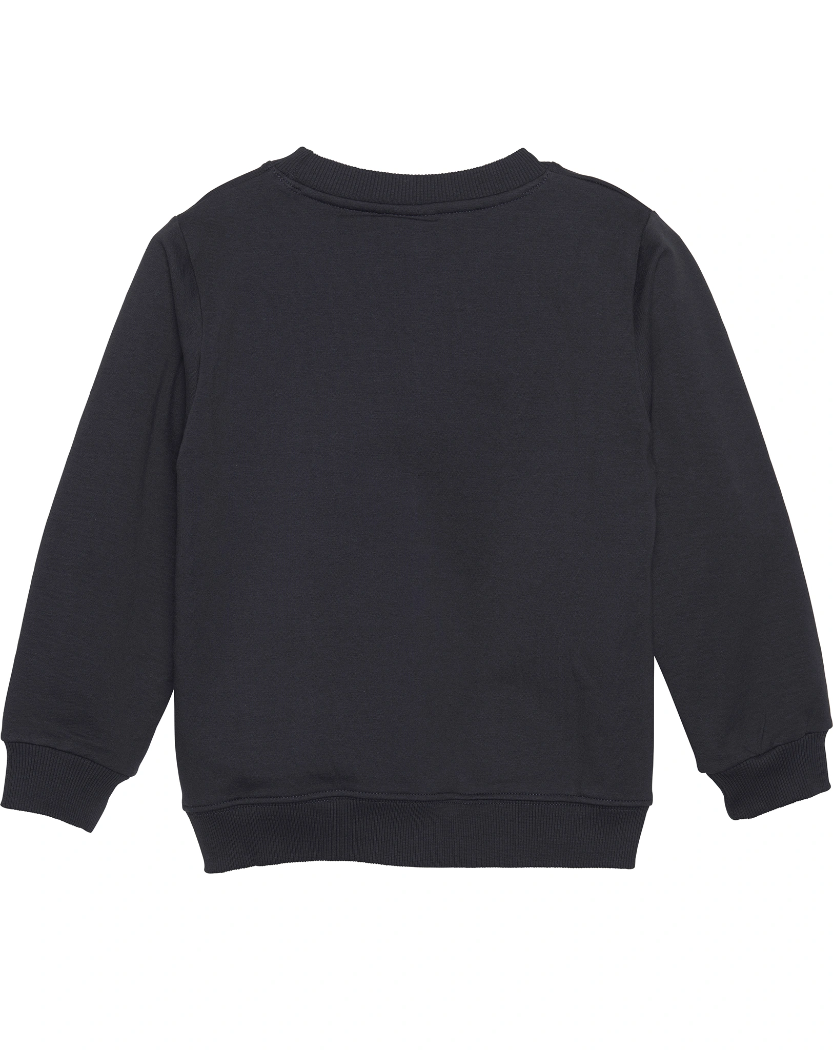 Sweatshirt WINTER DINOS in dunkelblau