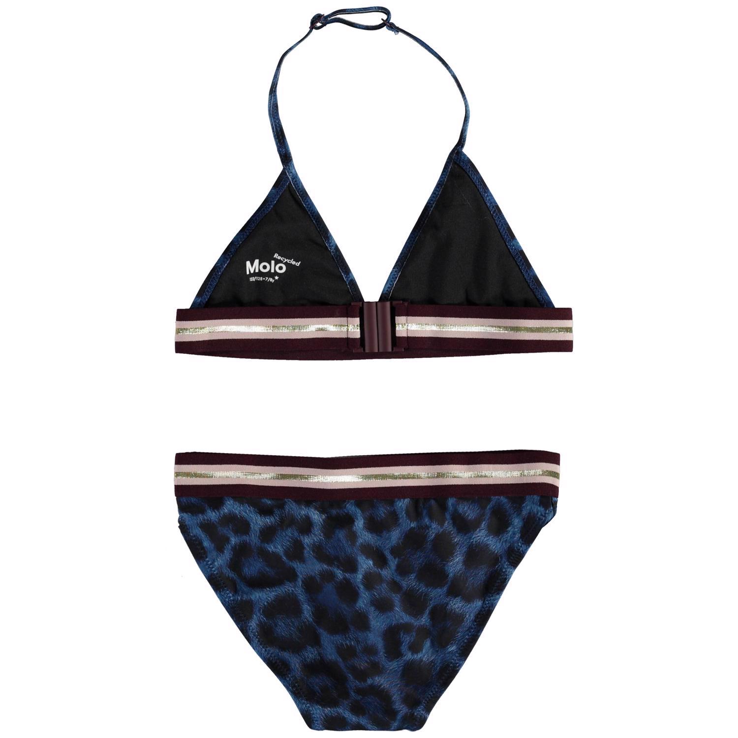 Nicoletta - Blue Jaguar