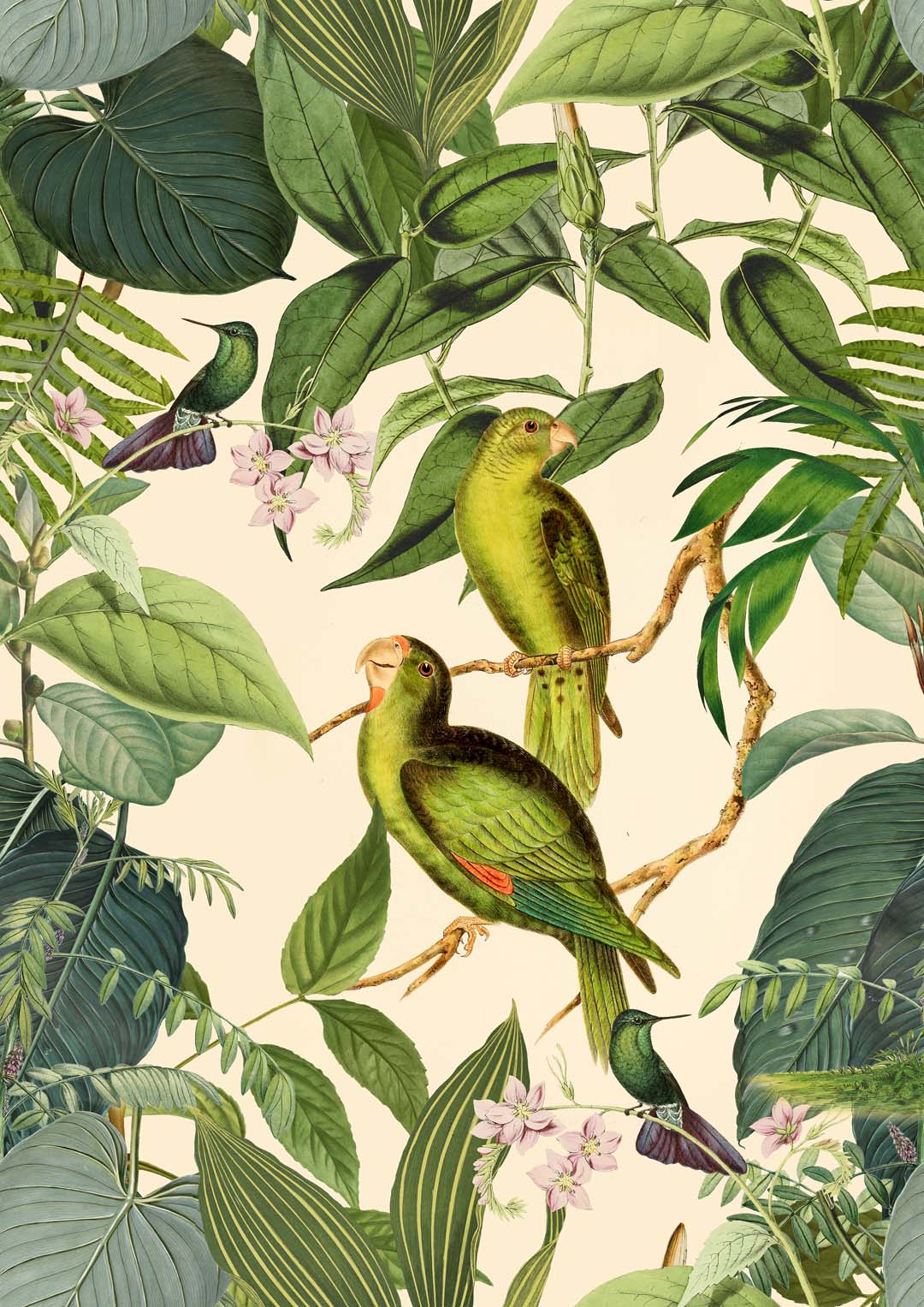 Tropischer Sittich von Andrea Haase
