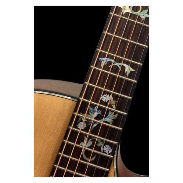 Jockomo Fret Mark-Winding Vine Bird