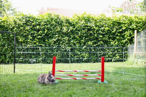 KERBL Agility Nagerspielzeug Steilsprung, ca.
