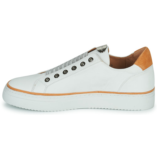 Adige - QUANTON4 V8 - Blanc