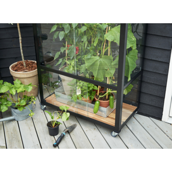 Royal Well City Garden balkon serre