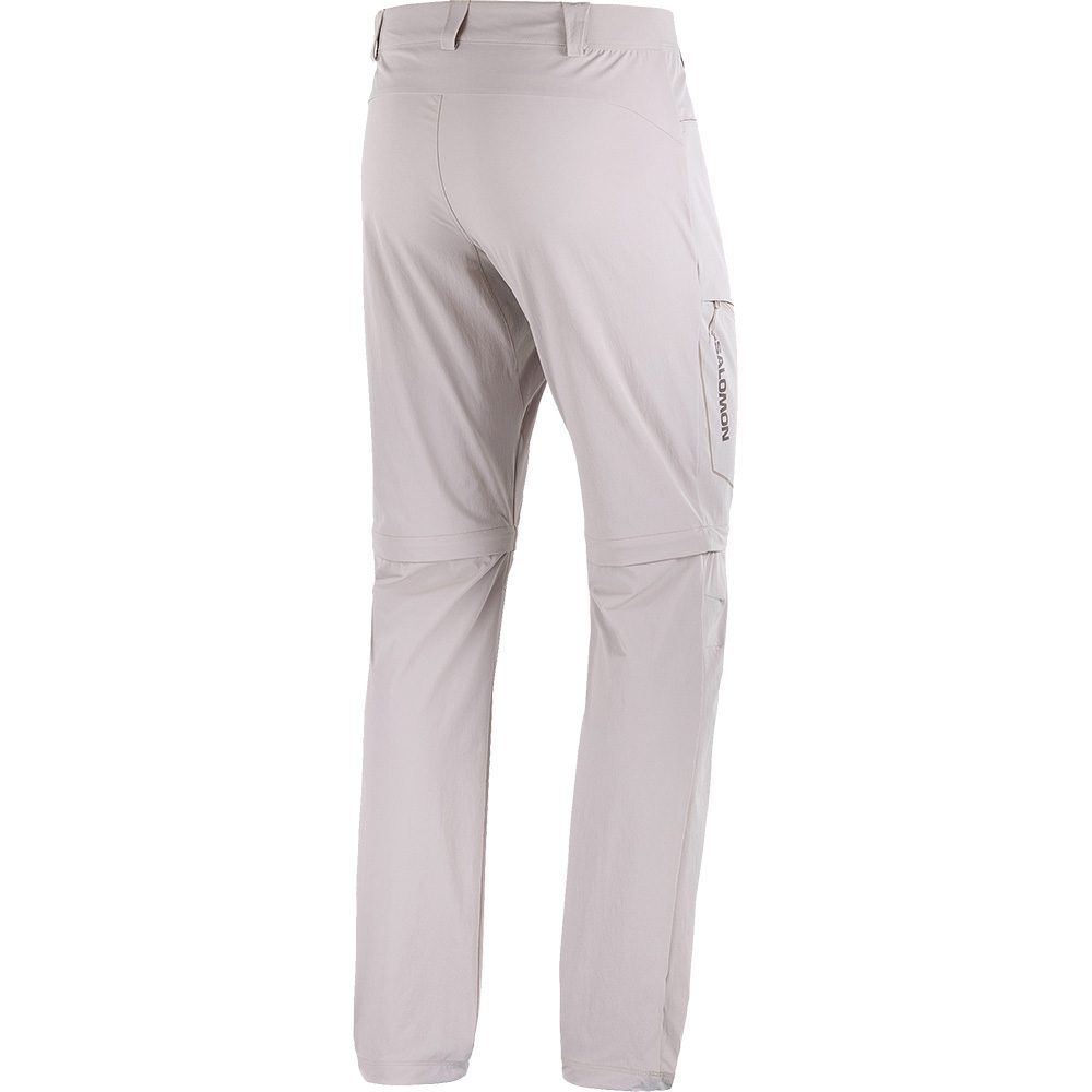 Salomon Wayfarer Zip-Off Hose Herren etherea